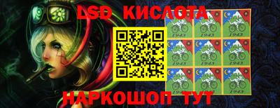 шишки Будённовск
