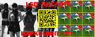 шишки Будённовск