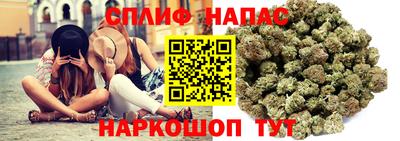 шишки Будённовск
