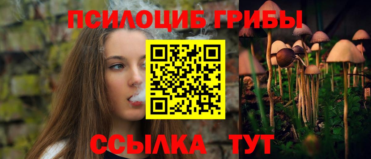 Псилоцибиновые грибы MAGIC MUSHROOMS  Вход с VPN  Лиски 